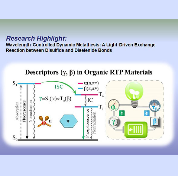 Wavelength‐Controlled Dynamic Metathesis...