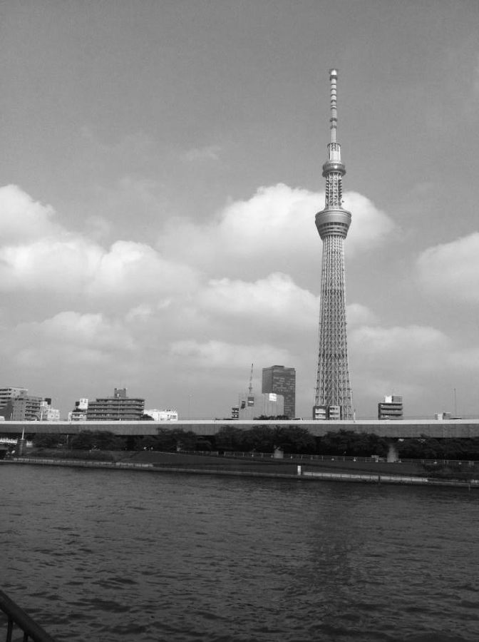 010.jpg